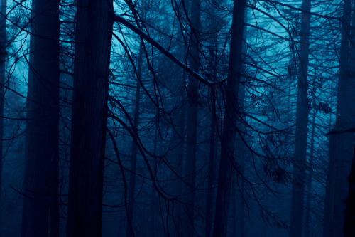 © Aaron Fagerstrom