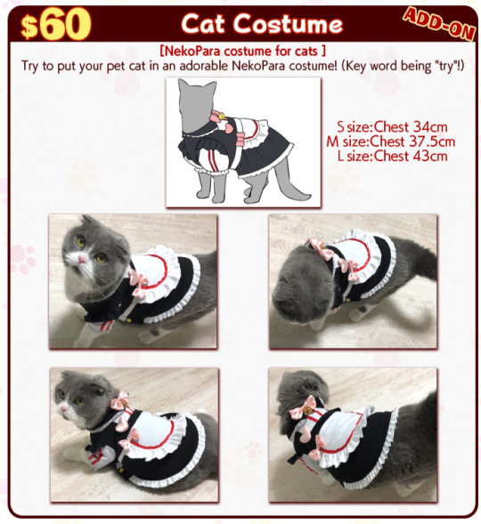 tachibana-marika:  tachibana-marika:  tachibana-marika:  tachibana-marika:  pay 7 grand to make your cat into an anime girl you weeaboo fuck  pay 9 grand to put them INTO THE NEKOPARA OVA  PAY 10 GRAND TO MAKE THEM SPEAK ONE LINE OF DIALOG   