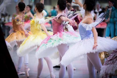 englishballetandtea: geekandsundry:  tutu-fangirl:  everythingplus-thekitchensink:  dancingwithbelugawhales:  Members of the Australian Ballet in (beautifully) costumed rehearsals for David McAllister’s The Sleeping Beauty. Photography by Kate Longley.