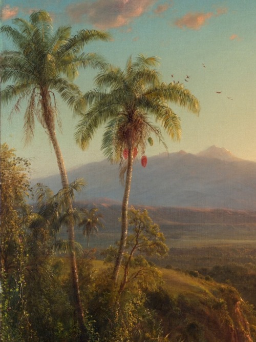 Frederic Edwin Church + Palm Trees