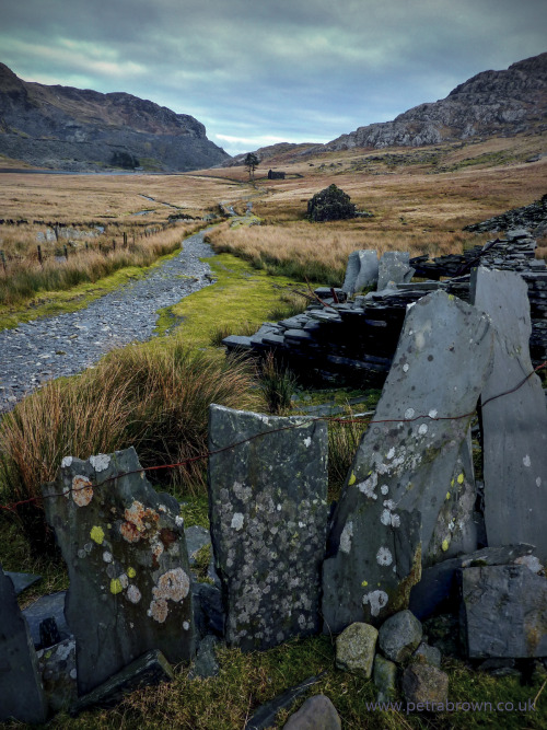 mydododied:The crooked teeth of the traditional welsh slate fence make for a great foreground to a p