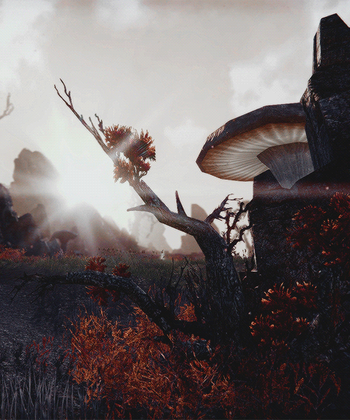 perishx:The Elder Scrolls Online scenery ➳ Stonefalls #2