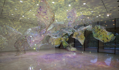 Soo Sunny Park, Unwoven Light (2013), Vapor Slide (2007),  Park&rsquo;s Unwoven Light Docum