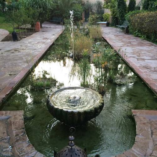 Lush and lovely gardens at the Hotel Les Deux Tours in Palmeraie #MaraInMarrakech #cnttakeover ❤️ @m