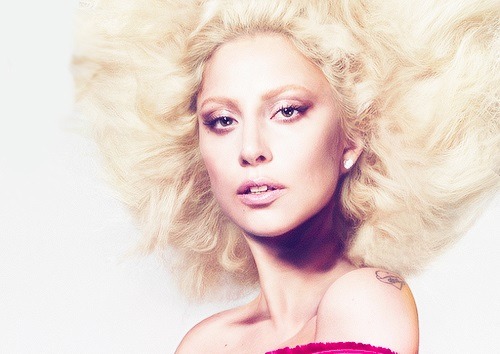 Paws Up