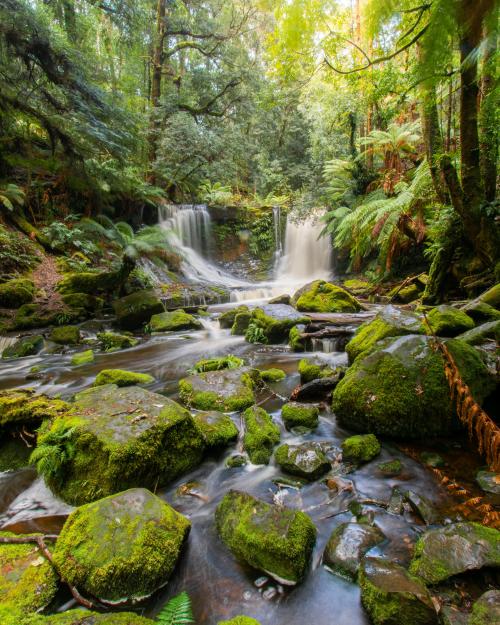 amazinglybeautifulphotography:Beautiful shades of green at Horseshoe Falls inside one of Tasmania’s 