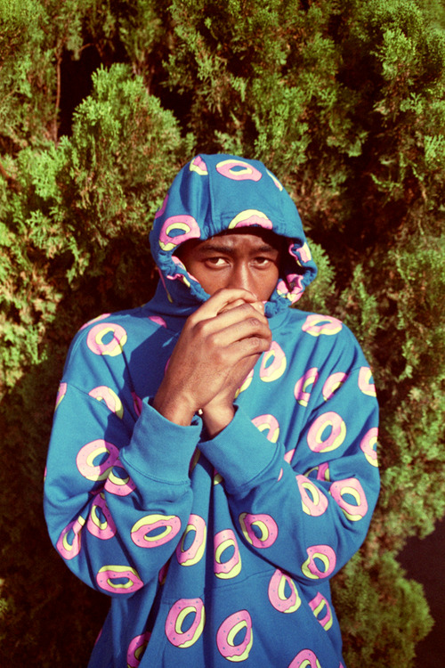 Diddyvice