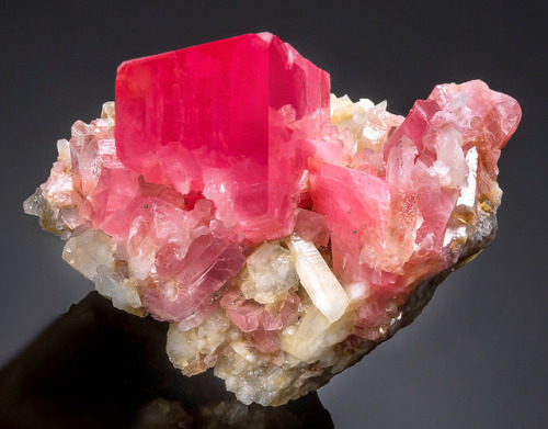 hematitehearts: Rhodochrosite Rhomb on Quartz Locality:   Pasto Bueno, Pampas District, Pallasca Province, Ancash Department, Peru.   