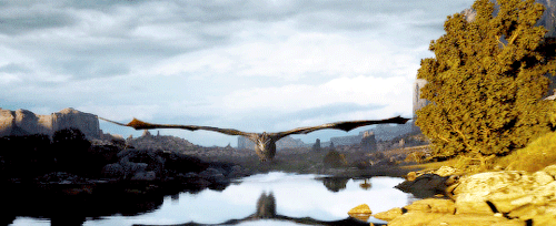 aryastark:Drogon in Spoils of War (requested by @brittluvskitties-blog)