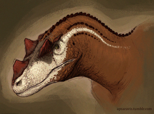 Ceratosaurus