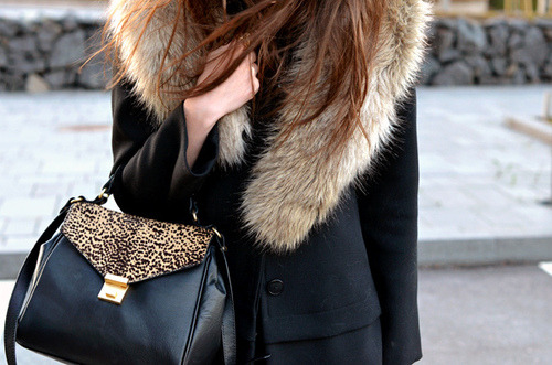 Fashion Gallery