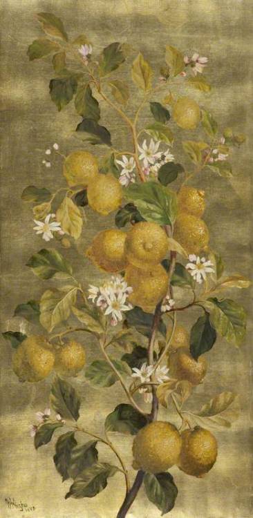 oldpaintings:  Pomegranates, 1882 and Lemons, 1898(?) by William Hughes (English, 1842–1901) 