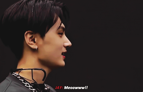 JAYWON: Maybe Meow Will Be Our Always.