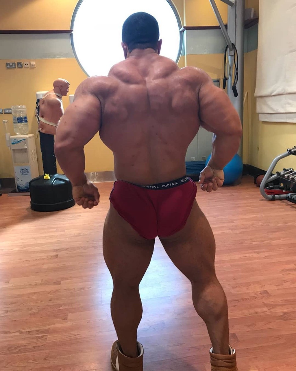 Hassan Mostafa