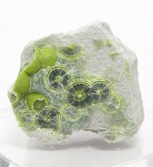 beautiful-minerals: Green Wavellite Radiating Crystals on Chert by FenderMinerals