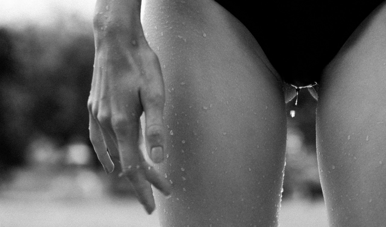 Quello che cerchi