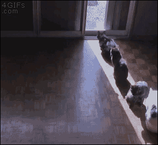 あ じゃ じゃ した ー Gif 無料の最高の壁紙vxhd あ じゃ じゃ した ー Gif 無料の最高の壁紙vxhd