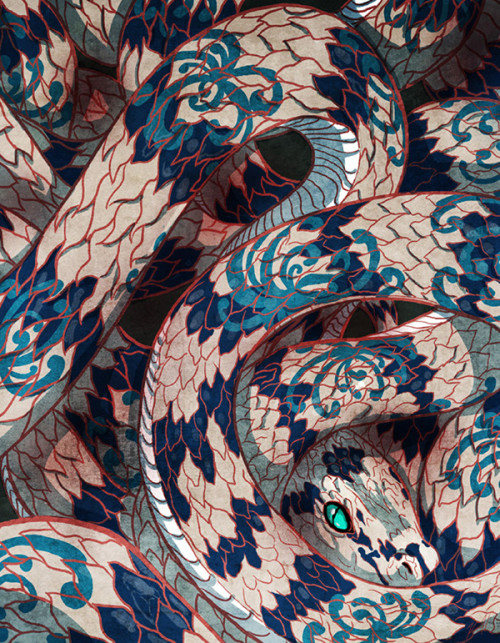 frrmsd:  Illustrator:Kim Herbst“Year of the Snake”