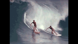 spanishguyinghent:  Shaun Tomson & Mark Richards 
