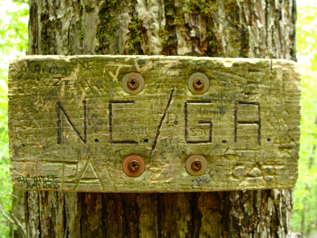 golookoutside:   travelstache:  travelstache does a section of the appalachian trail. 