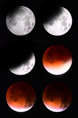 love-abia:  Lunar Eclipse 2015 by Abi Ashra (Tumblr) 