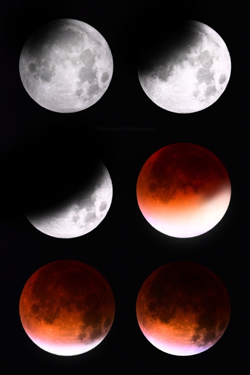 love-abia:
“ Lunar Eclipse 2015 by Abi Ashra (Tumblr)
”