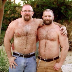 davidwhz:  Woof…hot bears…like them so much