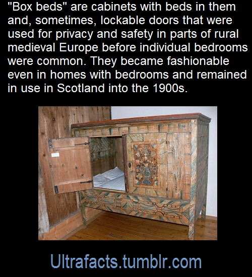 draculagirl:sighinastorm:fieldsoffire100:ultrafacts:Source: [x]Click HERE for more facts! “Scr