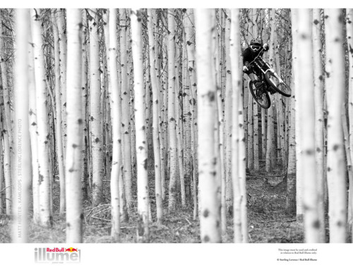 teamblue-hiro:  Top 100 Photos of the Year: 50-1 - Pinkbike