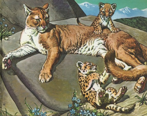 art-and-things-of-beauty: Animals and their young by Raymond Sheppard (1913 - 1958)