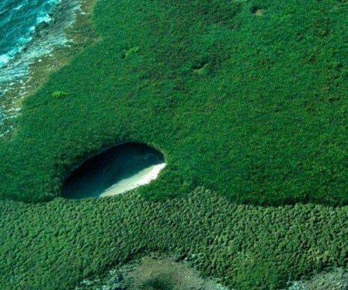 atlasobscura: Hidden Beach - Mexico A gaping hole in the surface of the lush green island exposes a 