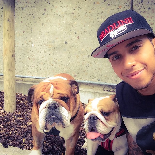hoodsworld:  Lewis Hamilton      Hoodsworld claims no ownership of photos posted