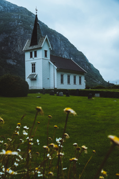 carpe-noctvm:Norway / July 2020