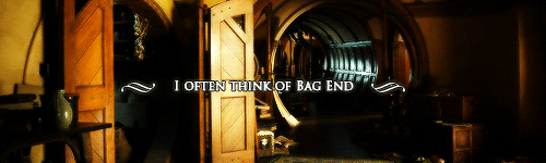 deactivatedbravelittlebaggi-blog:  You don't have one. A home. It was taken from