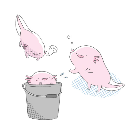 カワウソ Explore Tumblr Posts And Blogs Tumpik