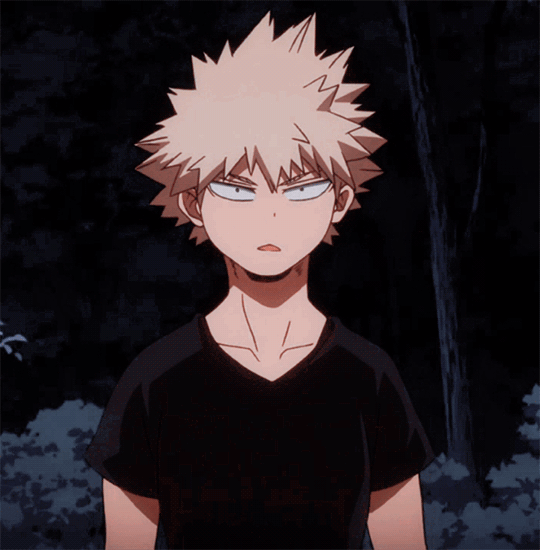 BNHA SOURCE — a confused porcupine