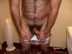 manlybush:  Yummy hairy cock and his arms