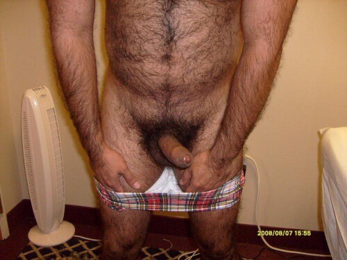 manlybush:  Yummy hairy cock and his arms are super furry too !
