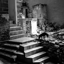 mydaysphoto: Inside of the Old City Jodhpur