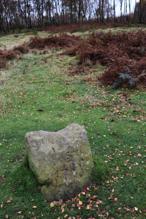 ‘The King Stone’, a single outlier for ‘The Nine Ladies’ Stone Circle, 