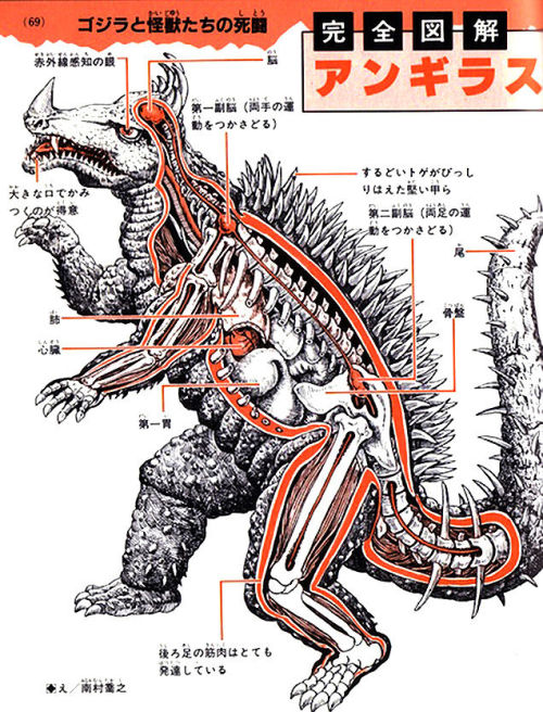 Shoij Otomo and Shogo EndoAn Anatomical Guide to Monsters: Gamera, Godzilla, Gappa, Mothra Larva, An