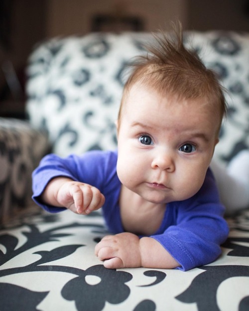 This chunk posing for her 3 month photos last week!