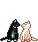 kitty kissing