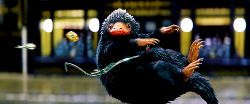 outtagum: Meet the creatures from ‘Fantastic Beasts and Where To Find Them’  Niffler -   mischievous, yet adorable creatures that   look like a cross between a mole and a duck-billed platypus  and like to steal shiny things. The animals have a magical