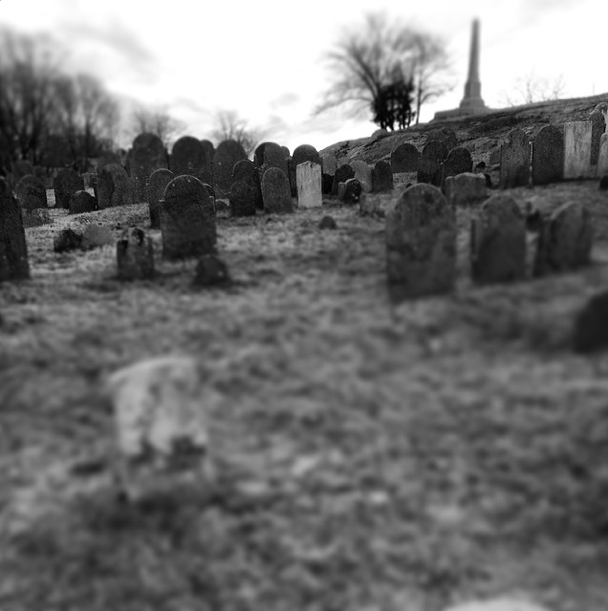 365daysofhorror:  The graveyard from Hocus Pocus. It’s an old - and GORGEOUS -
