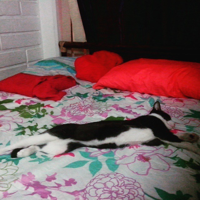 Automáticamente se entiende que me toco dormir al rincón.