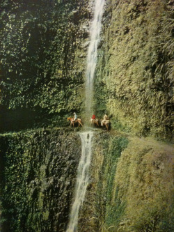 justenoughisplenty:  Cliff riders duck behind a waterfall in the Pololu Valley in Hawaii.  National Geographic - July, 1960
