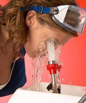 rageomega:  ladyhaylo:  me: Zootopia was such a good move! I wonder what other people on Tumblr thought? me: *goes into Zootopia tag*me:  @novaschaos 