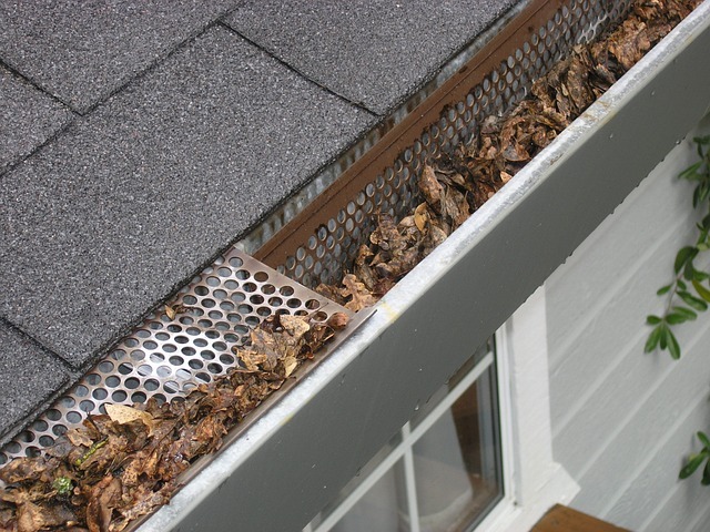 gutter guards