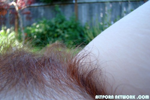 hairypussyland:  Parfaite! Beaux poils. 